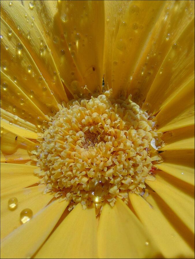 After the rain - Colin Bailey